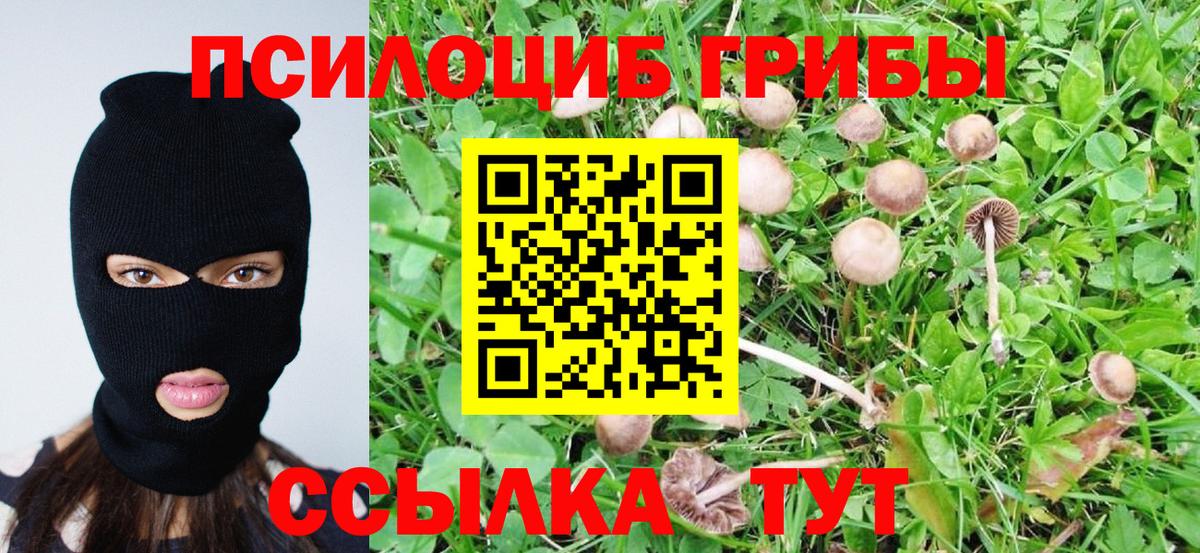 Галлюциногенные грибы прущие грибы Маркс